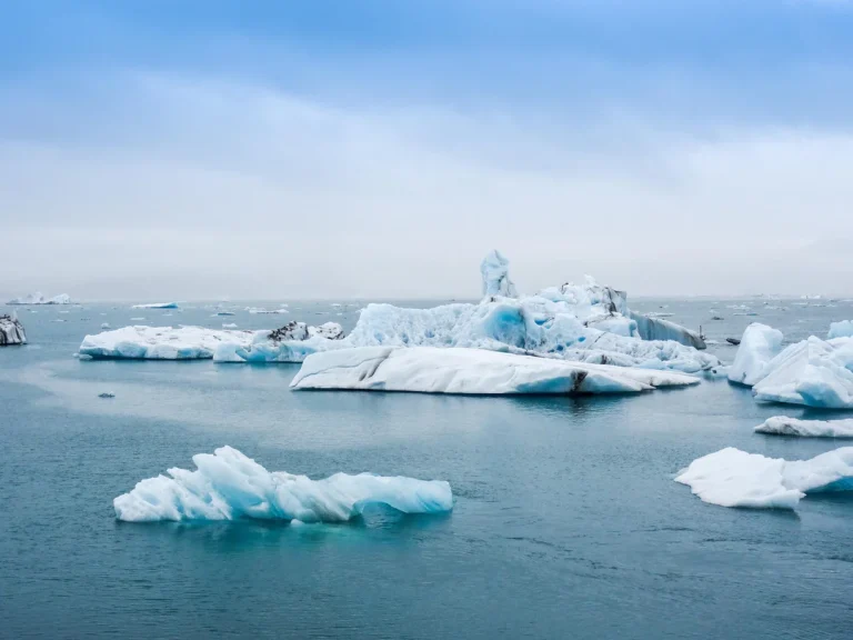 riscaldamento globale impatti sullacqua di mare e sulla vita marina